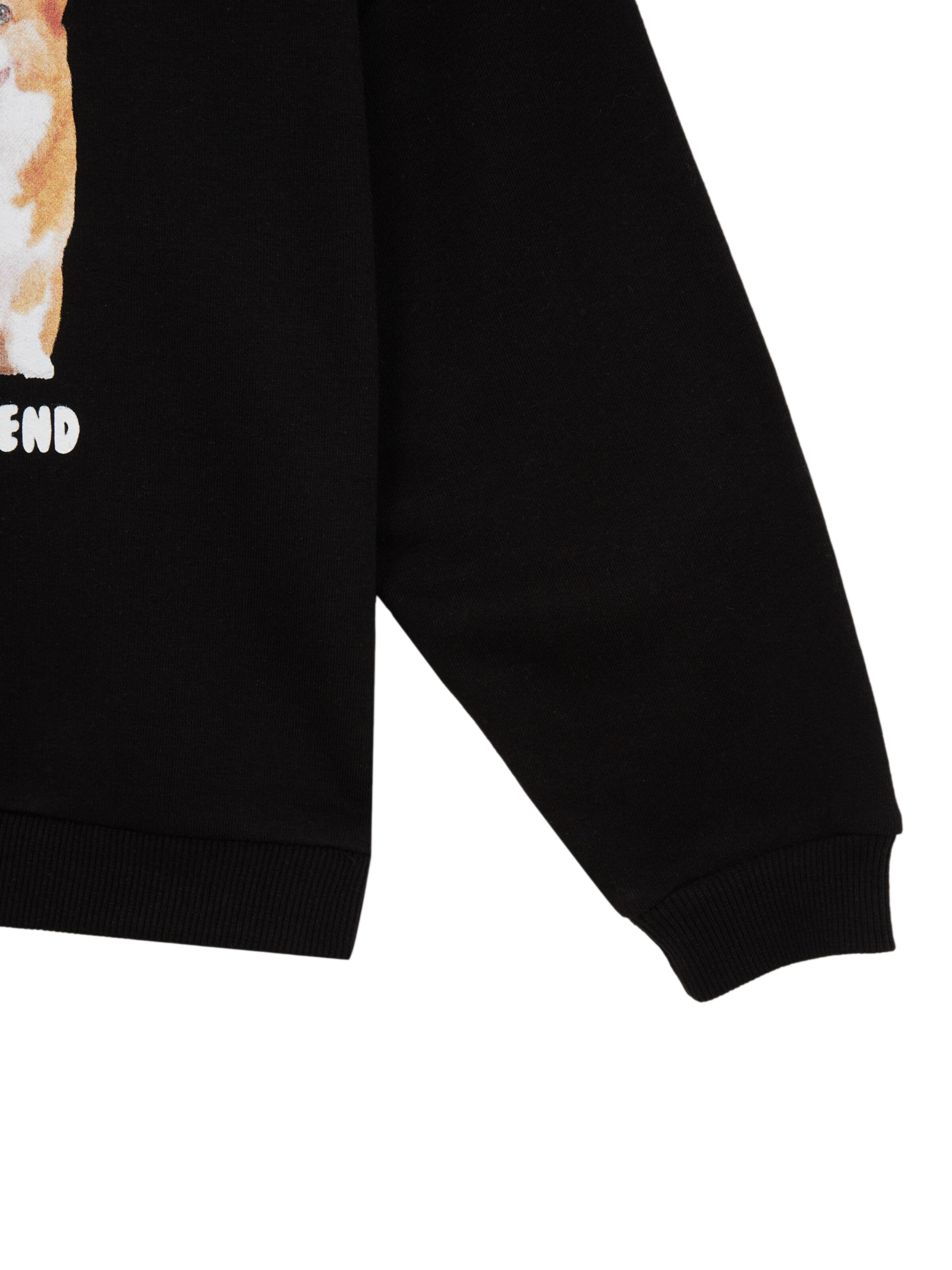 Kinder Kids (Gr. 92-140) DeFacto Sweatshirt in Schwarz - GY24575 Kinder Kids (Gr. 92-140) DeFacto Sweatshirt in Schwarz - GY24575