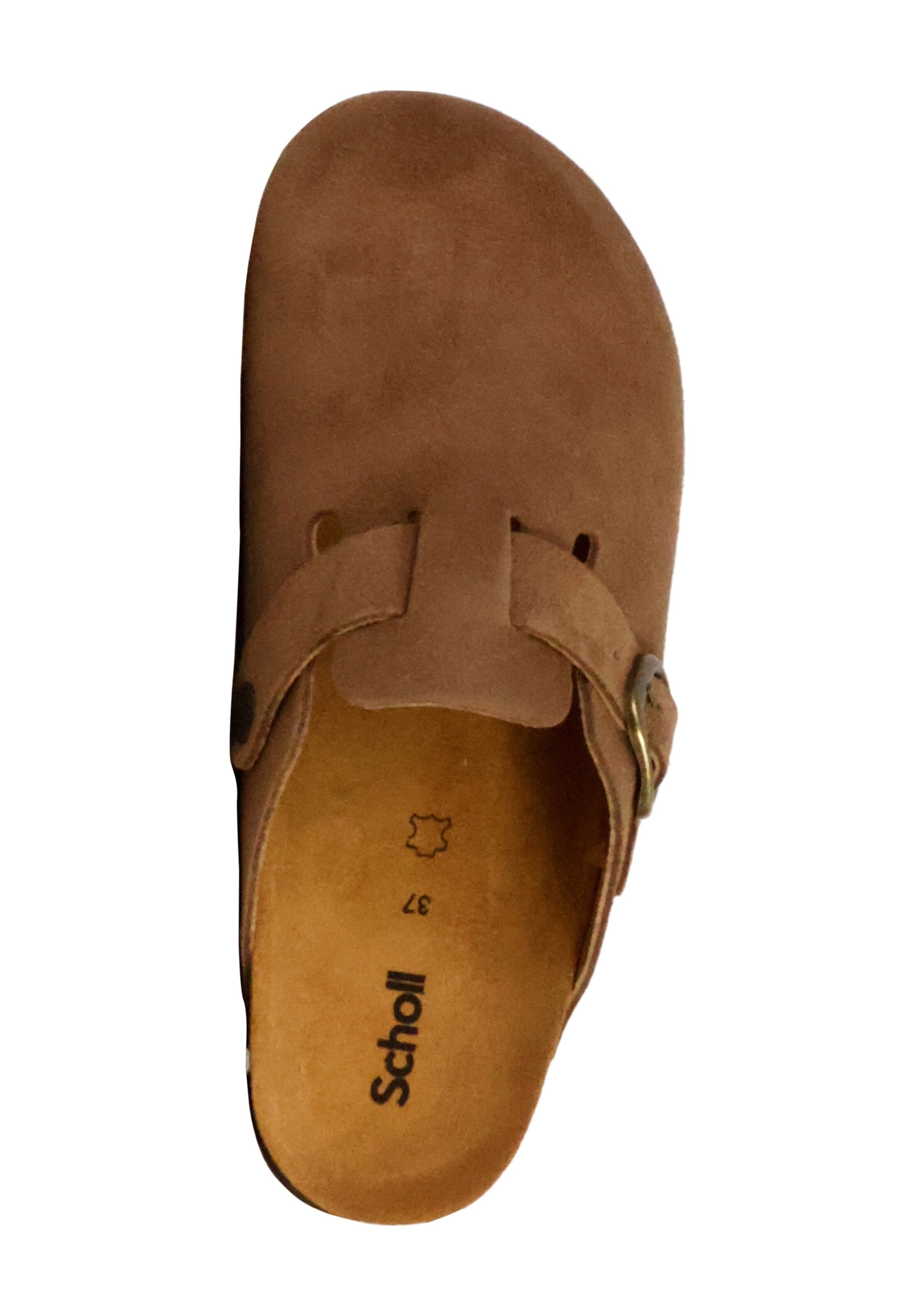 Clogs 'FAE' di SCHOLL in grigio