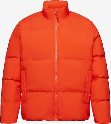 ESPRIT Winter Jacket in Orange: front