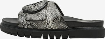 Tamaris Muiltjes in Grijs: voorkant