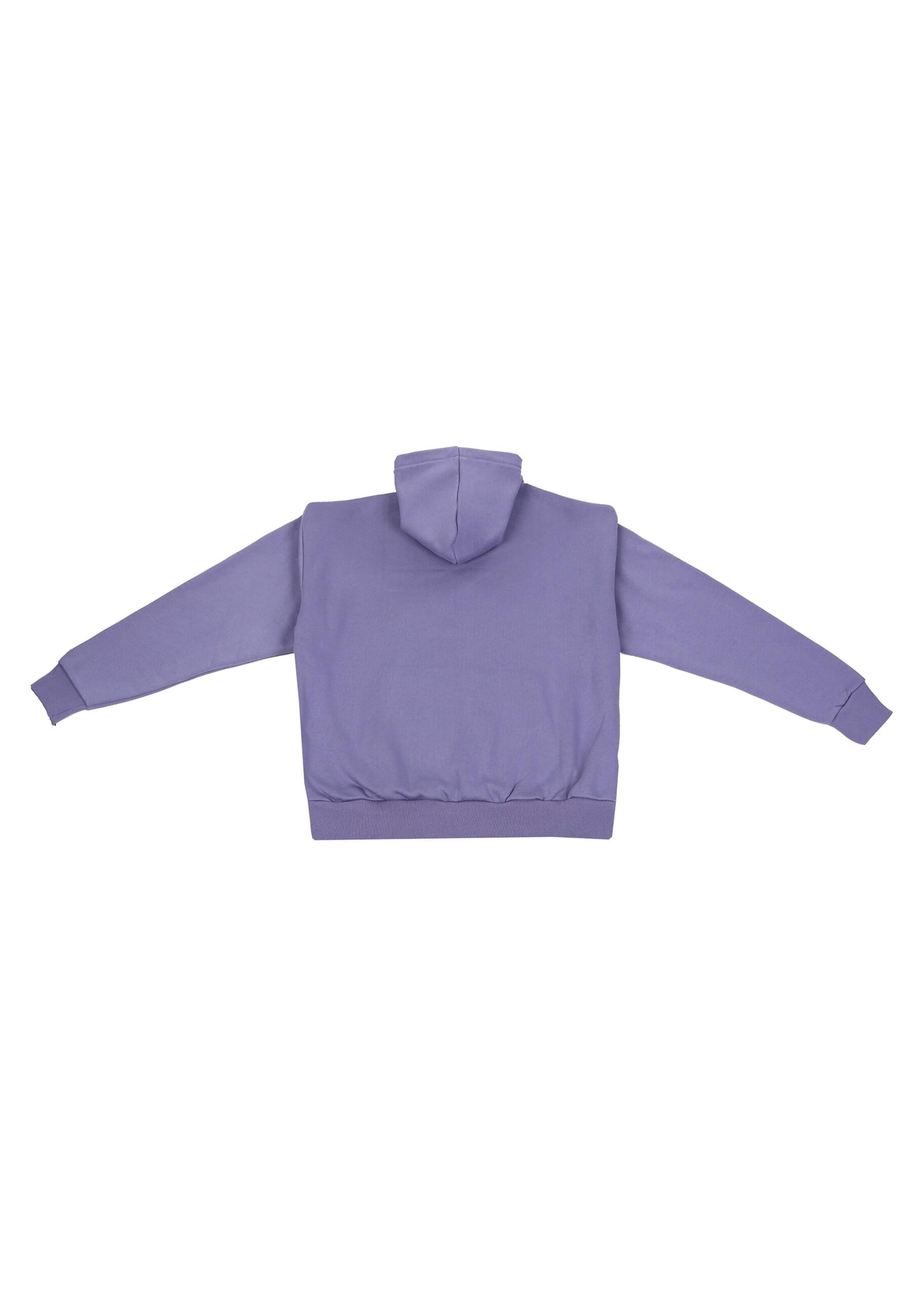 Dropsize Sweatshirt in Purple