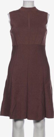 Forever New Dress in XL in Brown: front