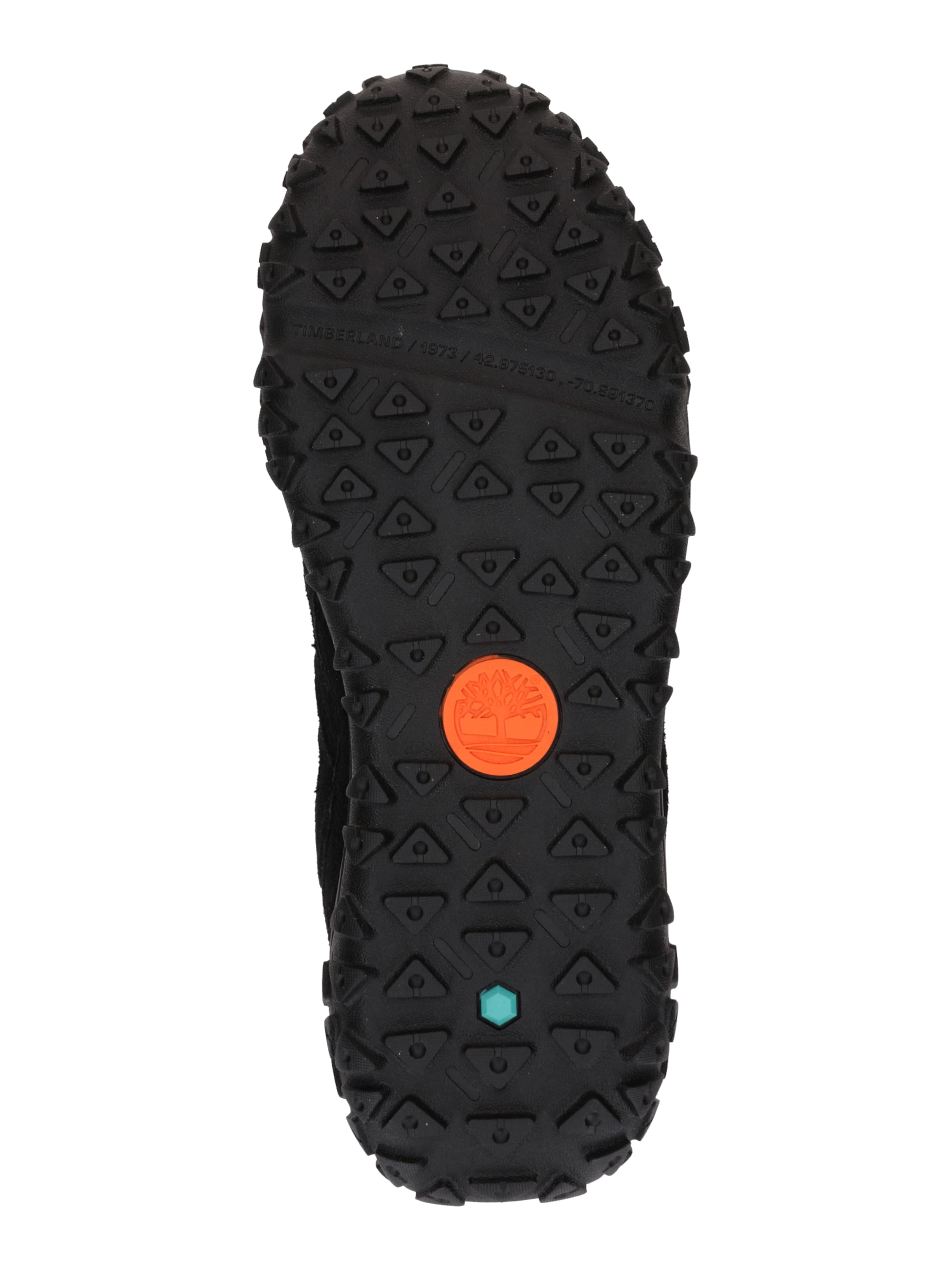 TIMBERLAND Trainers in Black