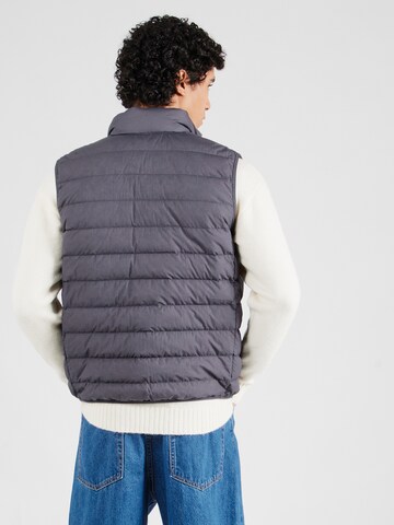 Calvin Klein Jeans Väst 'Gilet' i grå