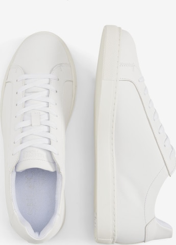 SELECTED HOMME Låg sneaker 'Evan' i vit