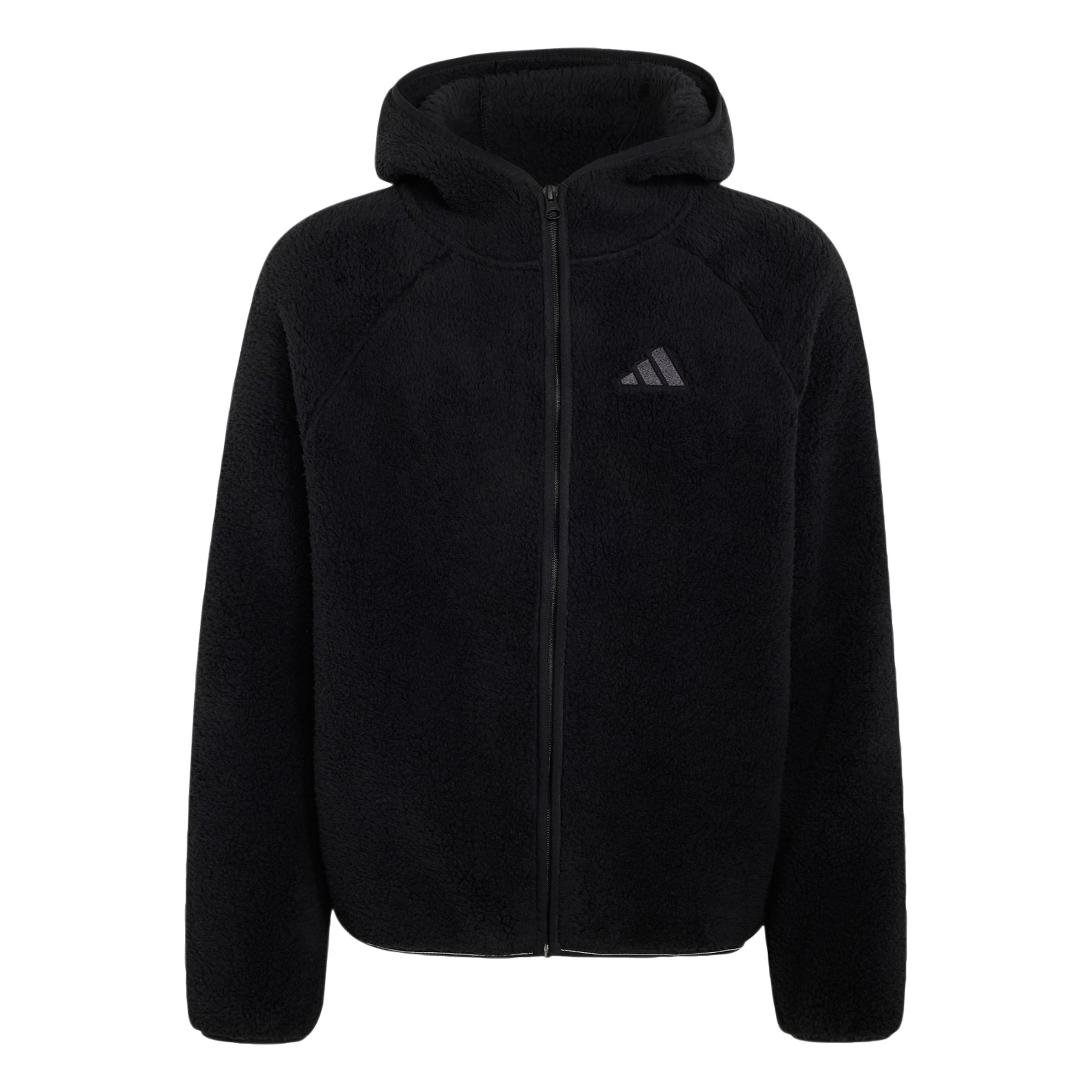 ADIDAS TERREX Functionele fleece jas 'Xploric' in Zwart: voorkant