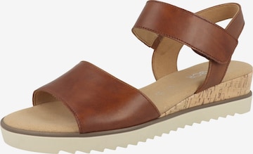 Sandalo di GABOR in marrone: frontale