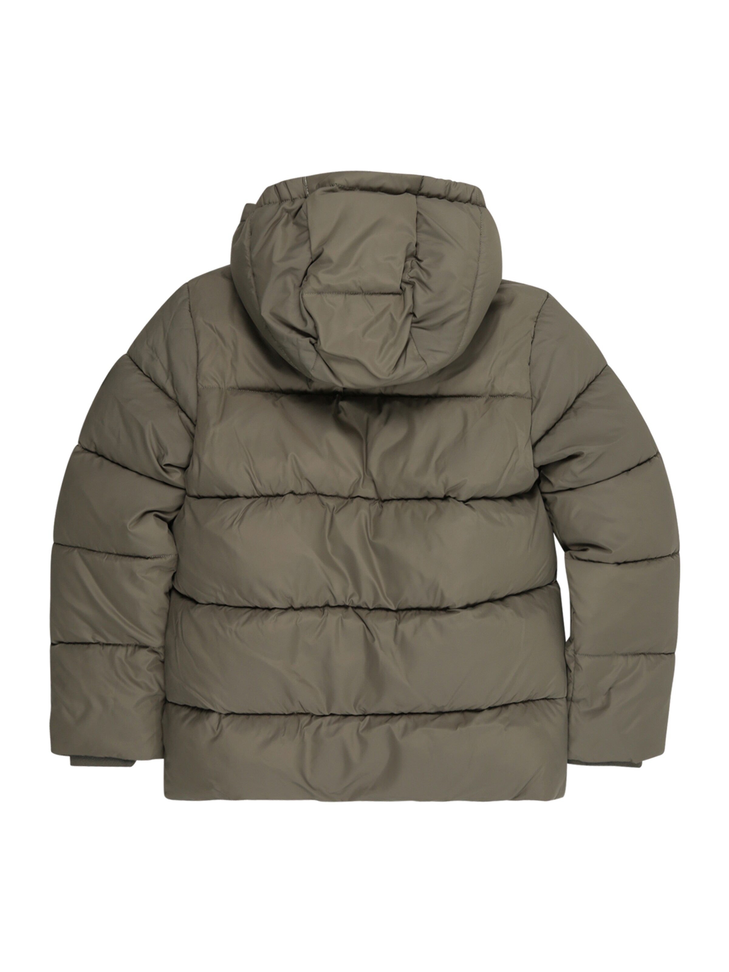 Calvin Klein Jeans Winter Jacket 'ESSENTIAL' in Green