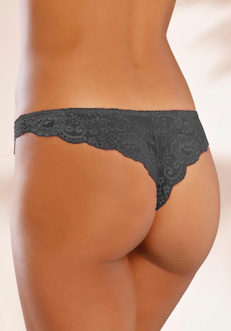 LASCANA - regular Tanga en gris