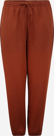 Effilé Pantalon ADIDAS ORIGINALS en marron : devant