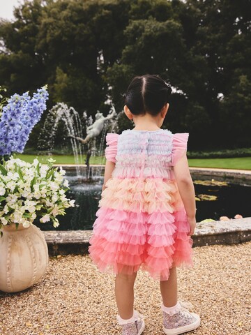 Next Dress in Mixed colours