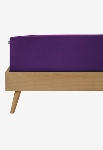 SCHIESSER Bed Sheet 'Jessi' in Purple