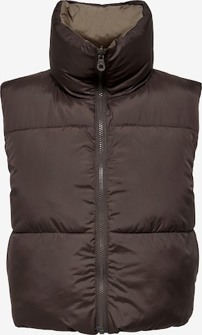 ONLY Vest 'Ricky' in Brown: front