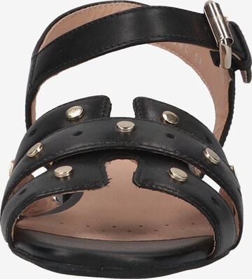 GEOX Sandals in Black