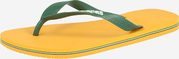HAVAIANAS Teenslipper 'BRASIL' in Geel: voorkant