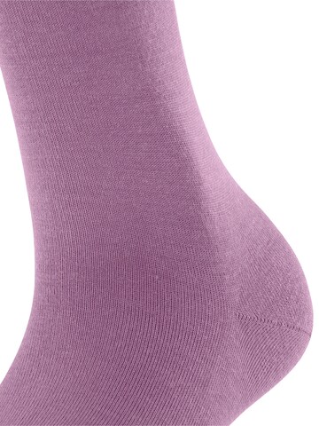 FALKE Knee High Socks 'Softmerino' in Pink