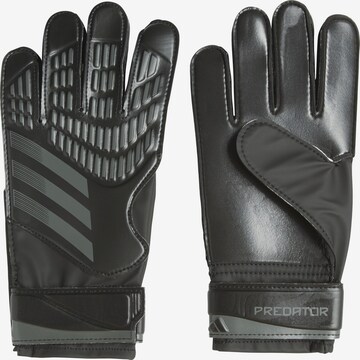 ADIDAS PERFORMANCE Athletic Gloves 'Predator' in Black: front