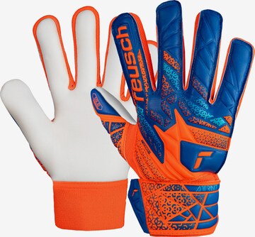 REUSCH Sporthandschoenen 'Attrakt Starter Solid Junior' in Blauw: voorkant