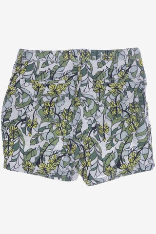 DEDICATED. Shorts in 32 in Green