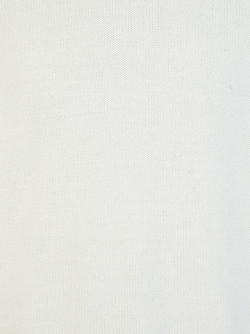 Pull-over PIERRE CARDIN en blanc