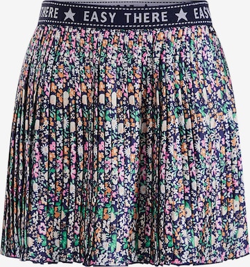 WE Fashion Skirt in Mixed colors: front