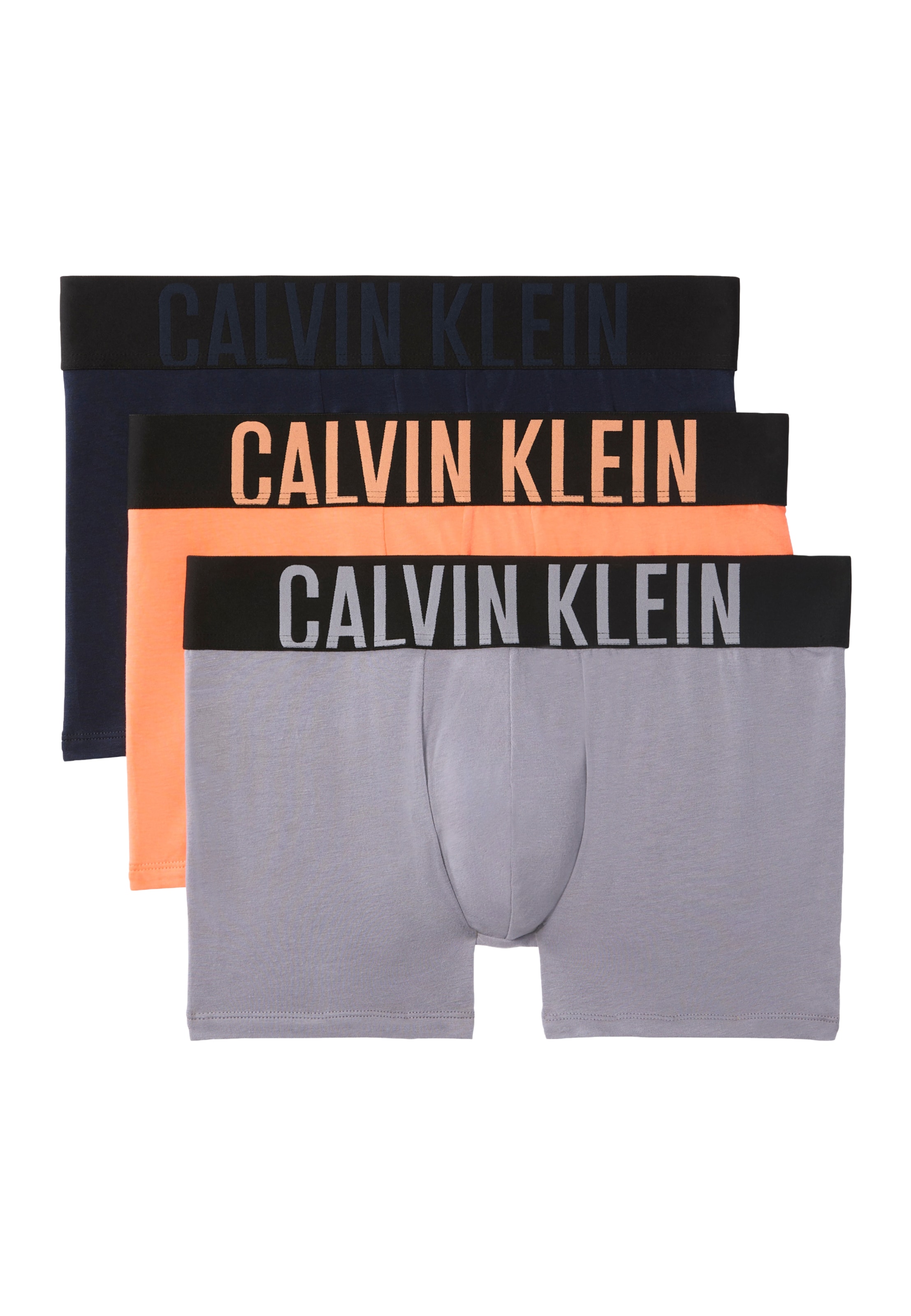 Calvin Klein Underwear Boxer shorts 'Intense Power' in Blue: front