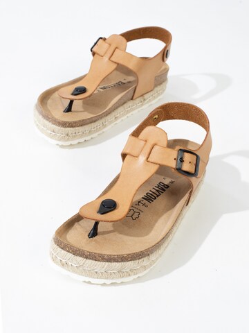 Bayton T-bar sandals 'Celiane' in Beige