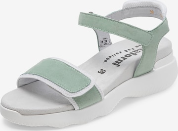 Sandales à lanières VITAFORM en vert : devant