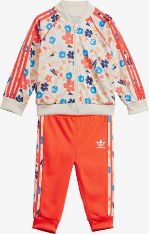 ADIDAS ORIGINALS Set in Oranje: voorkant