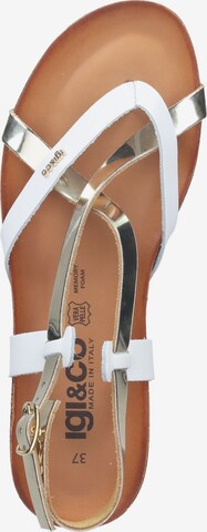 IGI&CO Sandalen met riem in Wit