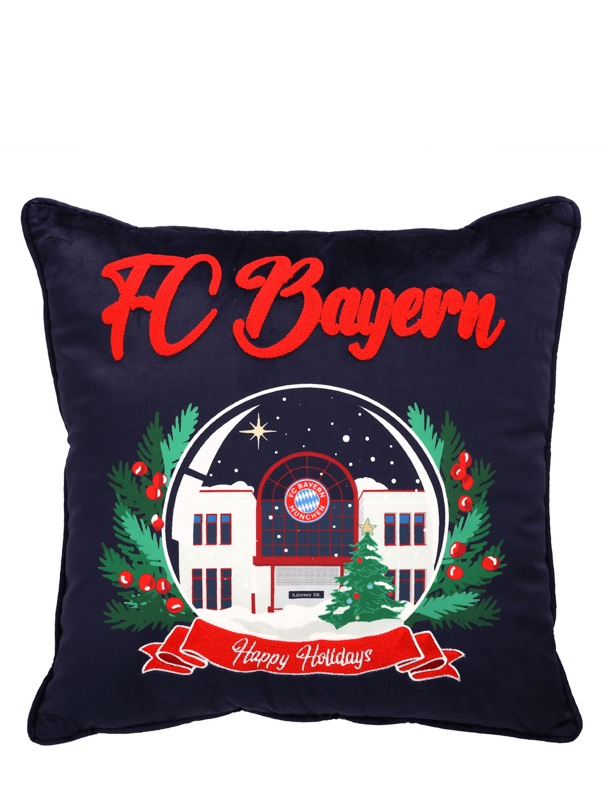 FC BAYERN MÜNCHEN Pillow 'Winter 40x40 cm' in Blue: front