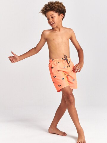 Shiwi Zwemshorts in Oranje