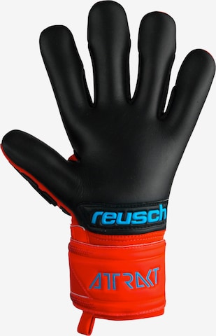 REUSCH Athletic Gloves 'Attrakt Freegel' in Red