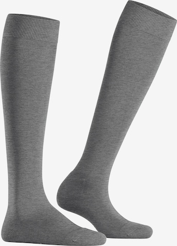 FALKE Kniestrümpfe 'ClimaWool' in Grau: Vorderseite