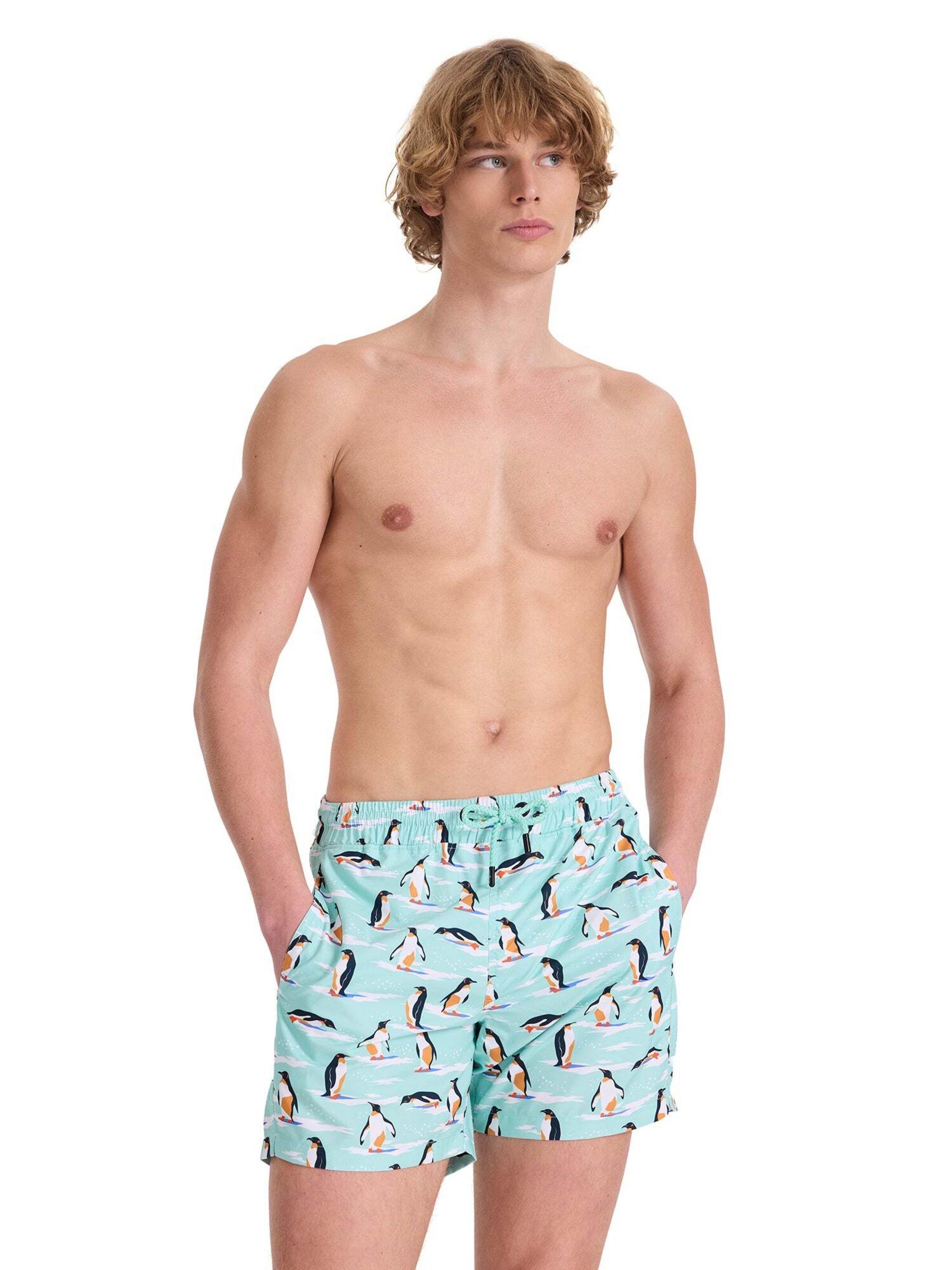 Shorts de bain WESTMARK LONDON en vert : devant