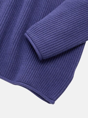 Pull-over TOM TAILOR en bleu