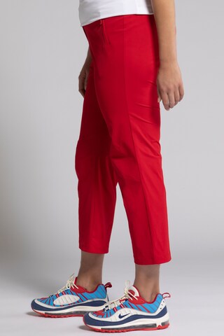 Ulla Popken Normalny krój Spodnie w kolorze czerwony
