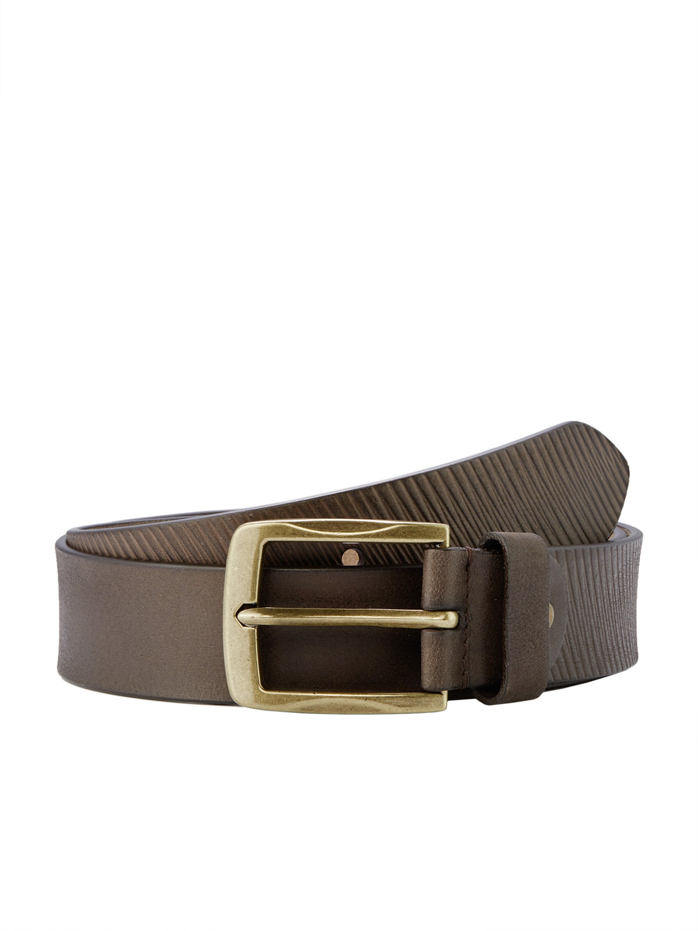 PADDOCKS Gürtel in Braun: Vorderseite