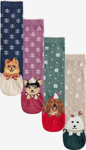 Next Socken in Beige: Vorderseite