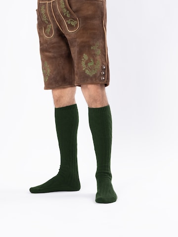 HerzSticht Trachtensocken 'Bergdistel' in Grün