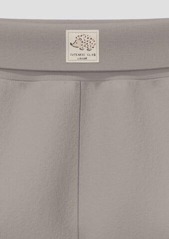 s.Oliver Regular Broek in Grijs