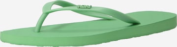 Tongs 'VIVA' ROXY en vert : devant