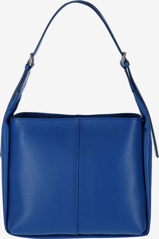 zils faina Pleca soma: no priekšpuses