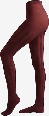 CALZEDONIA Strumpfhose in Rot: Vorderseite