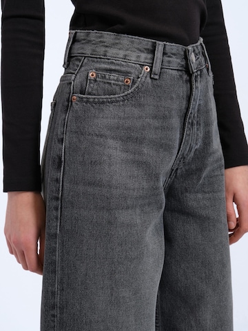 Dr. Denim Loosefit Jeans 'Donna High Relaxed'‌‌‌‌‌‌‌‌ in Grau