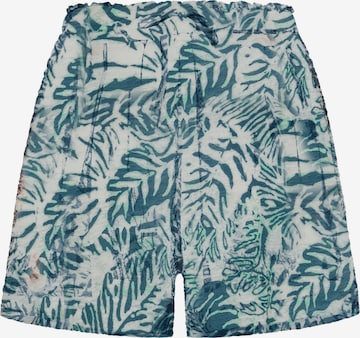 DEHA Regular Broek in Groen: voorkant