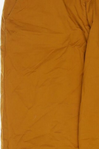 Everlane Pants in XL in Orange