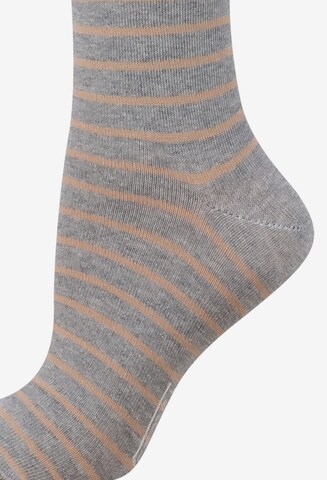 CAMEL ACTIVE Socks in Mixed colors