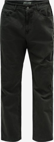 Salsa Jeans Chino in Groen: voorkant