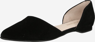 Apple of Eden Balerinke 'BLONDIE' u crna, Pregled proizvoda